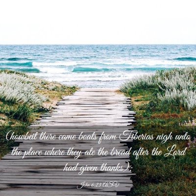 Picture 03 - John 6:23 ASV - (howbeit there came boats from Tiberias nigh unto - Bible Verse Picture