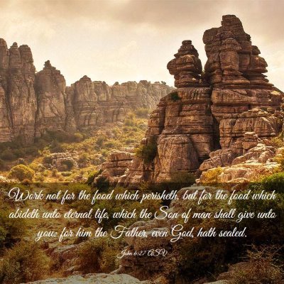 Picture 03 - John 6:27 ASV - Work not for the food which perisheth, but for - Bible Verse Picture