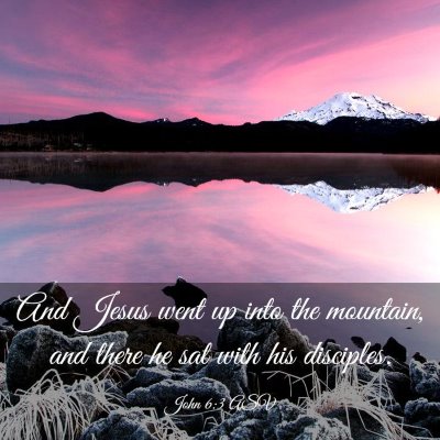 Picture 03 - John 6:3 ASV - And Jesus went up into the mountain, and there he - Bible Verse Picture