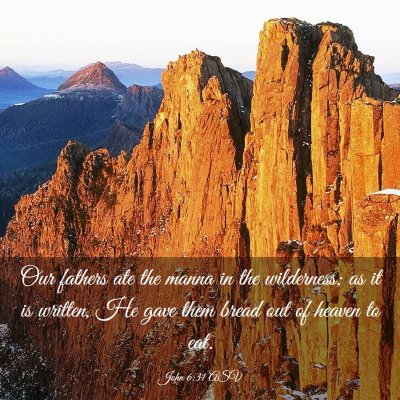 Picture 03 - John 6:31 ASV - Our fathers ate the manna in the wilderness; as - Bible Verse Picture