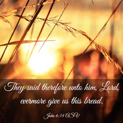 Picture 03 - John 6:34 ASV - They said therefore unto him, Lord, evermore give - Bible Verse Picture