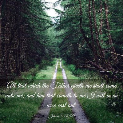 Picture 03 - John 6:37 ASV - All that which the Father giveth me shall come - Bible Verse Picture