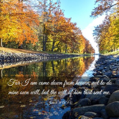 Picture 03 - John 6:38 ASV - For I am come down from heaven, not to do mine - Bible Verse Picture