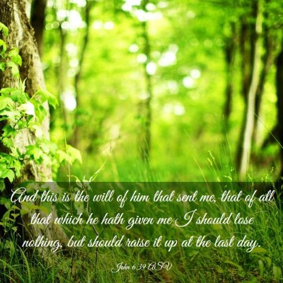 Picture 03 - John 6:39 ASV - And this is the will of him that sent me, that of - Bible Verse Picture