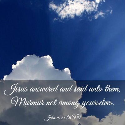 Picture 03 - John 6:43 ASV - Jesus answered and said unto them, Murmur not - Bible Verse Picture