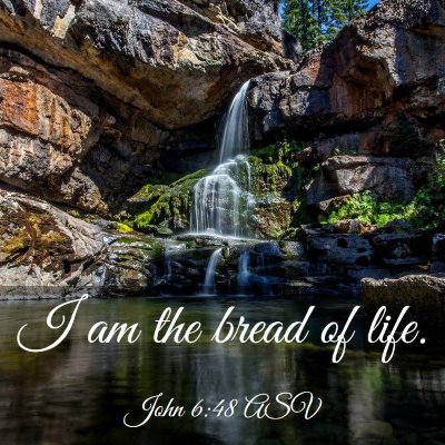 Picture 03 - John 6:48 ASV - I am the bread of - Bible Verse Picture