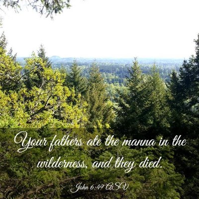 Picture 03 - John 6:49 ASV - Your fathers ate the manna in the wilderness, and - Bible Verse Picture