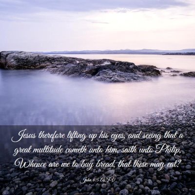 Picture 03 - John 6:5 ASV - Jesus therefore lifting up his eyes, and seeing - Bible Verse Picture