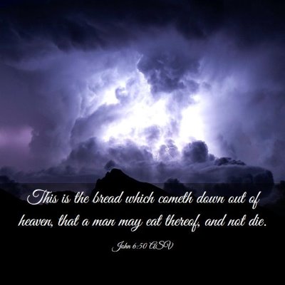Picture 03 - John 6:50 ASV - This is the bread which cometh down out of - Bible Verse Picture