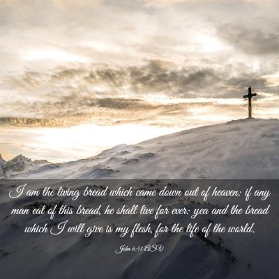 Picture 03 - John 6:51 ASV - I am the living bread which came down out of - Bible Verse Picture