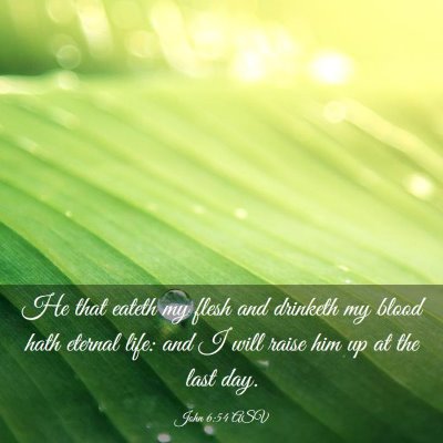 Picture 03 - John 6:54 ASV - He that eateth my flesh and drinketh my blood - Bible Verse Picture