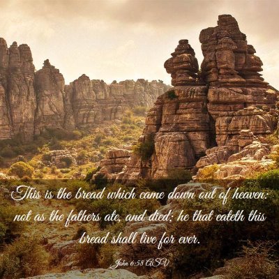 Picture 03 - John 6:58 ASV - This is the bread which came down out of heaven: - Bible Verse Picture