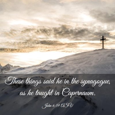 Picture 03 - John 6:59 ASV - These things said he in the synagogue, as he - Bible Verse Picture