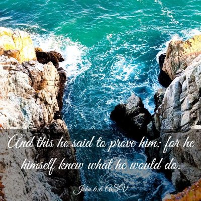 Picture 03 - John 6:6 ASV - And this he said to prove him: for he himself - Bible Verse Picture
