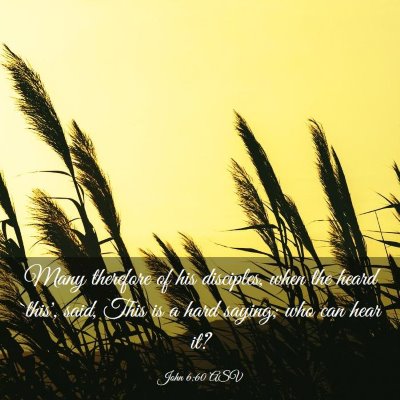 Picture 03 - John 6:60 ASV - Many therefore of his disciples, when the heard - Bible Verse Picture