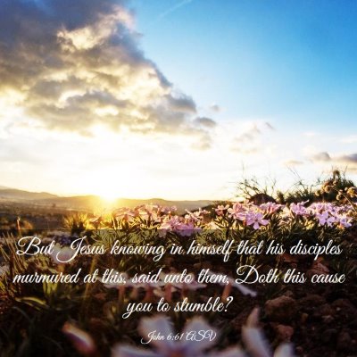 Picture 03 - John 6:61 ASV - But Jesus knowing in himself that his disciples - Bible Verse Picture