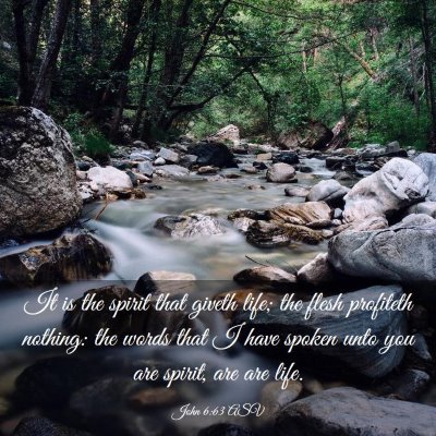 Picture 03 - John 6:63 ASV - It is the spirit that giveth life; the flesh - Bible Verse Picture