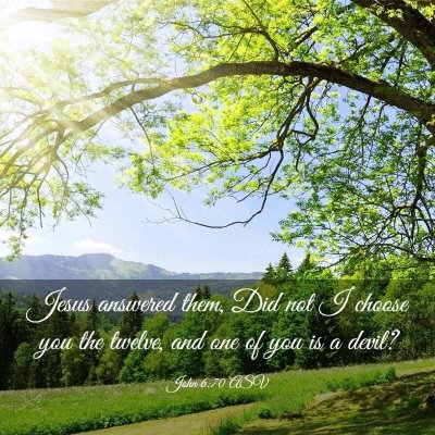 Picture 03 - John 6:70 ASV - Jesus answered them, Did not I choose you the - Bible Verse Picture
