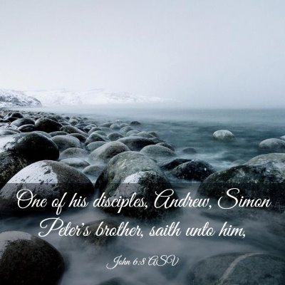 Picture 03 - John 6:8 ASV - One of his disciples, Andrew, Simon Peter's - Bible Verse Picture