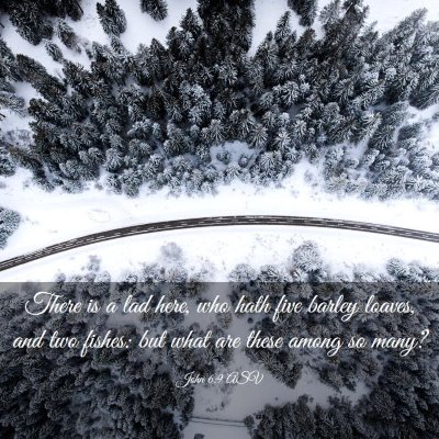 Picture 03 - John 6:9 ASV - There is a lad here, who hath five barley loaves, - Bible Verse Picture