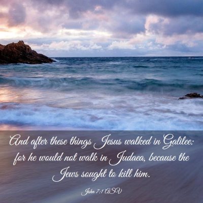 Picture 03 - John 7:1 ASV - And after these things Jesus walked in Galilee: - Bible Verse Picture