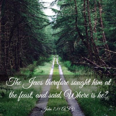 Picture 03 - John 7:11 ASV - The Jews therefore sought him at the feast, and - Bible Verse Picture