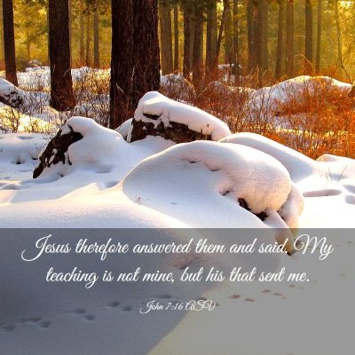 Picture 03 - John 7:16 ASV - Jesus therefore answered them and said, My - Bible Verse Picture
