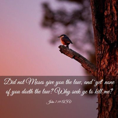 Picture 03 - John 7:19 ASV - Did not Moses give you the law, and `yet' none of - Bible Verse Picture