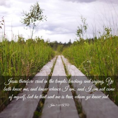 Picture 03 - John 7:28 ASV - Jesus therefore cried in the temple, teaching and - Bible Verse Picture