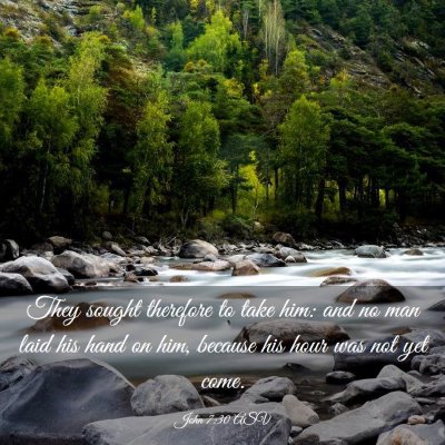 Picture 03 - John 7:30 ASV - They sought therefore to take him: and no man - Bible Verse Picture