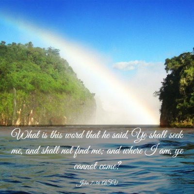 Picture 03 - John 7:36 ASV - What is this word that he said, Ye shall seek me, - Bible Verse Picture