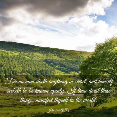 Picture 03 - John 7:4 ASV - For no man doeth anything in secret, and himself - Bible Verse Picture