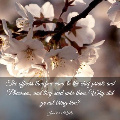 Picture 03 - John 7:45 ASV - The officers therefore came to the chief priests - Bible Verse Picture