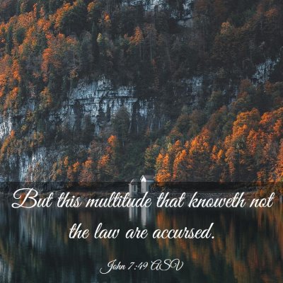 Picture 03 - John 7:49 ASV - But this multitude that knoweth not the law are - Bible Verse Picture