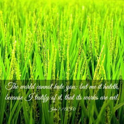 Picture 03 - John 7:7 ASV - The world cannot hate you; but me it hateth, - Bible Verse Picture