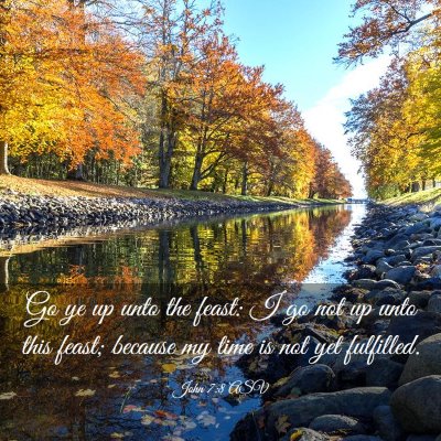 Picture 03 - John 7:8 ASV - Go ye up unto the feast: I go not up unto this - Bible Verse Picture