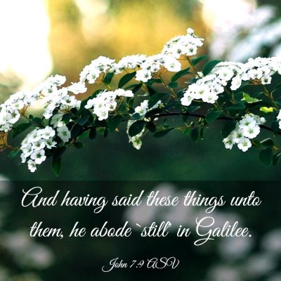 Picture 03 - John 7:9 ASV - And having said these things unto them, he abode - Bible Verse Picture