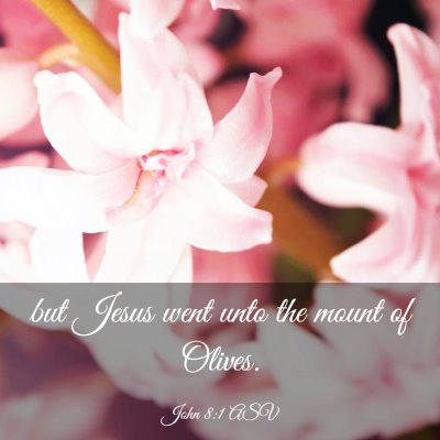 Picture 03 - John 8:1 ASV - but Jesus went unto the mount of - Bible Verse Picture
