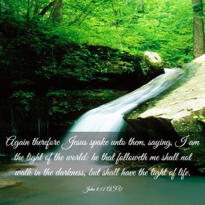 Picture 03 - John 8:12 ASV - Again therefore Jesus spake unto them, saying, I - Bible Verse Picture