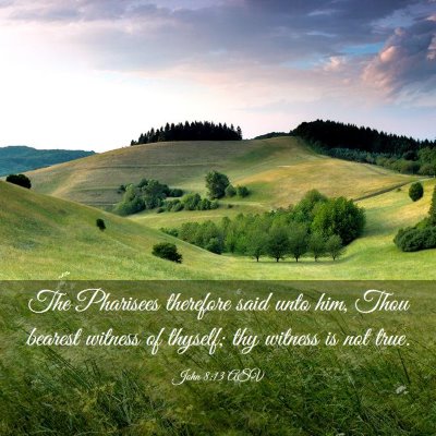 Picture 03 - John 8:13 ASV - The Pharisees therefore said unto him, Thou - Bible Verse Picture