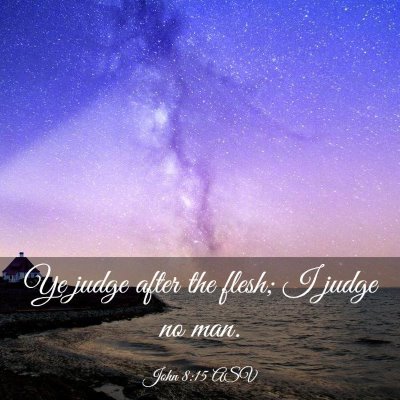 Picture 03 - John 8:15 ASV - Ye judge after the flesh; I judge no - Bible Verse Picture