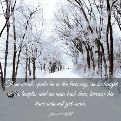 Picture 03 - John 8:20 ASV - These words spake he in the treasury, as he - Bible Verse Picture
