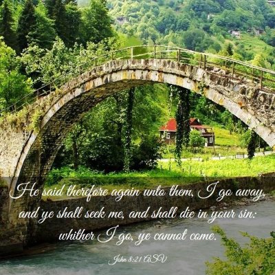 Picture 03 - John 8:21 ASV - He said therefore again unto them, I go away, and - Bible Verse Picture