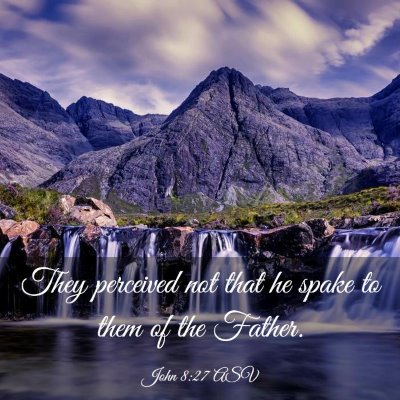 Picture 03 - John 8:27 ASV - They perceived not that he spake to them of the - Bible Verse Picture