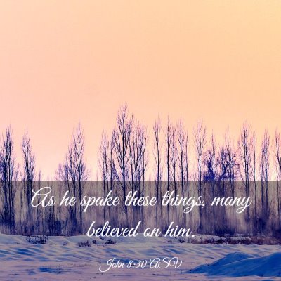 Picture 03 - John 8:30 ASV - As he spake these things, many believed on - Bible Verse Picture