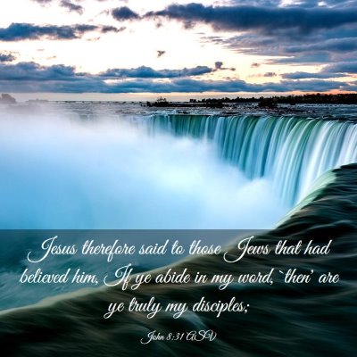 Picture 03 - John 8:31 ASV - Jesus therefore said to those Jews that had - Bible Verse Picture