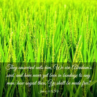 Picture 03 - John 8:33 ASV - They answered unto him, We are Abraham's seed, - Bible Verse Picture