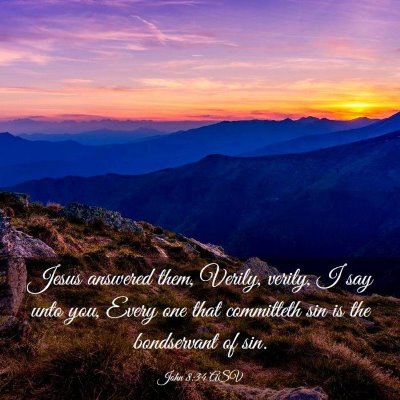 Picture 03 - John 8:34 ASV - Jesus answered them, Verily, verily, I say unto - Bible Verse Picture