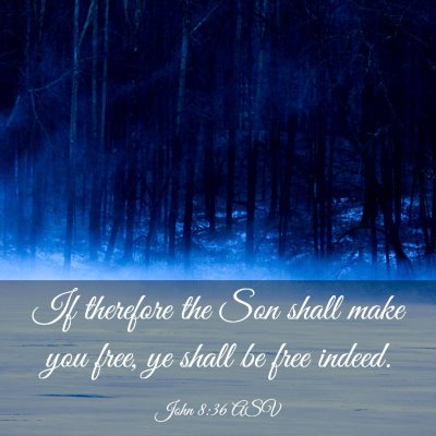 Picture 03 - John 8:36 ASV - If therefore the Son shall make you free, ye - Bible Verse Picture