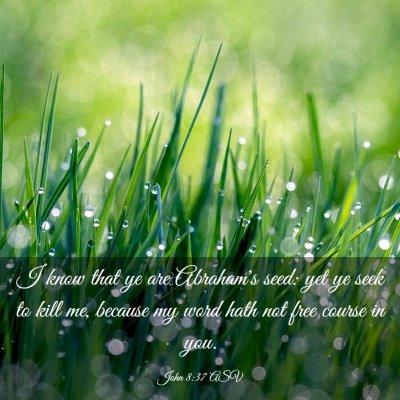 Picture 03 - John 8:37 ASV - I know that ye are Abraham's seed: yet ye seek to - Bible Verse Picture
